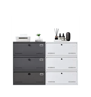 Steel Locker